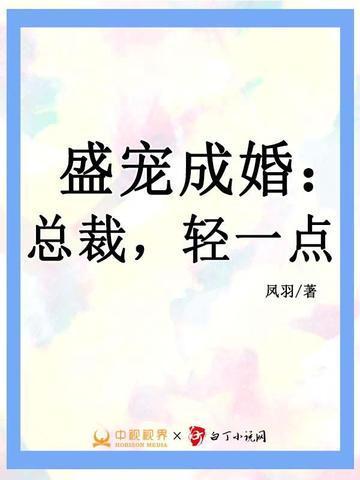 盛宠成婚:总裁,轻一点