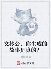 文抄公，你生成的故事是真的？
